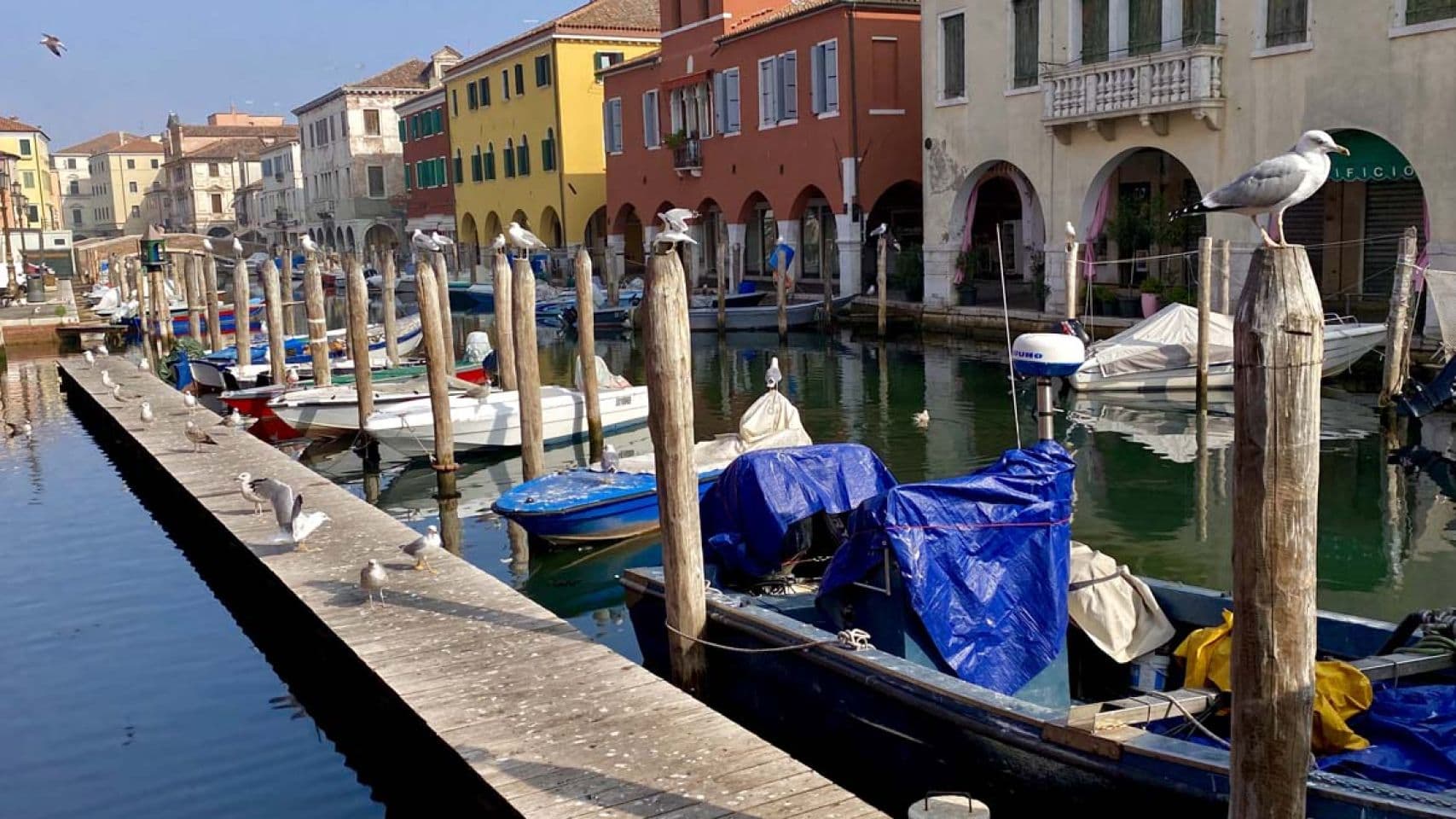 Colourful houses along the Chioggia canal
